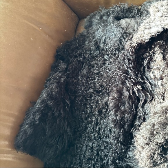 Vintage chocolate brown fur shearling curly lamb leather penny lane coat jacket - Picture 6 of 16